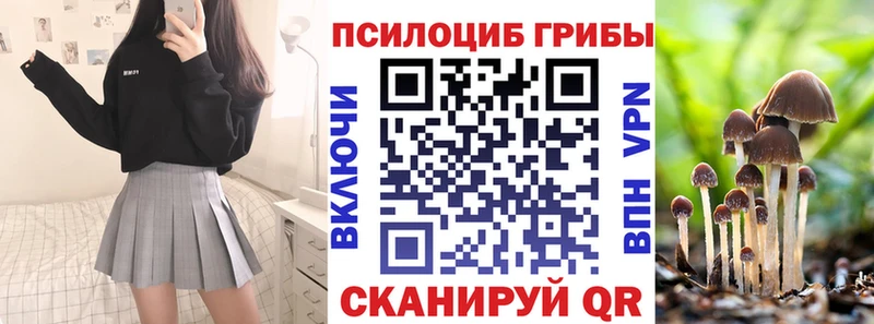 где можно купить   Заозёрный  Псилоцибиновые грибы Cubensis 
